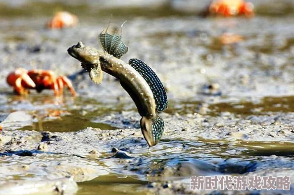 跳跳大作战全攻略：掌握技巧，玩转心跳加速的跳跃盛宴！