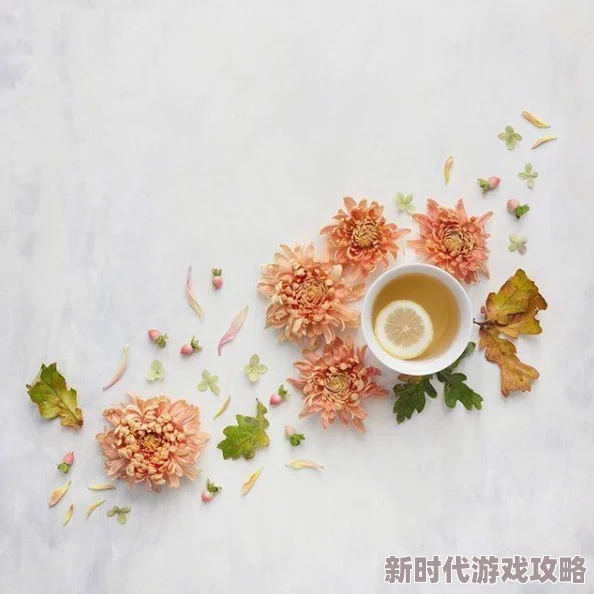 seve韩国女孩：她们如何在时尚界崭露头角，展现独特魅力与个性风格的故事