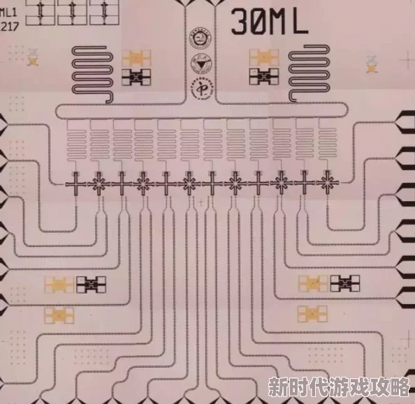 首页阁：震撼！全球首个量子计算机成功实现超越经典计算能力，科技界引发热议！