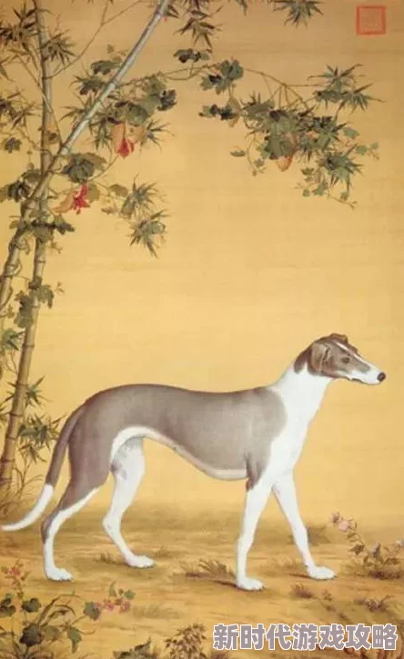 丰满多毛的大荫户——惊现野生珍稀物种，专家称或改变生态平衡！