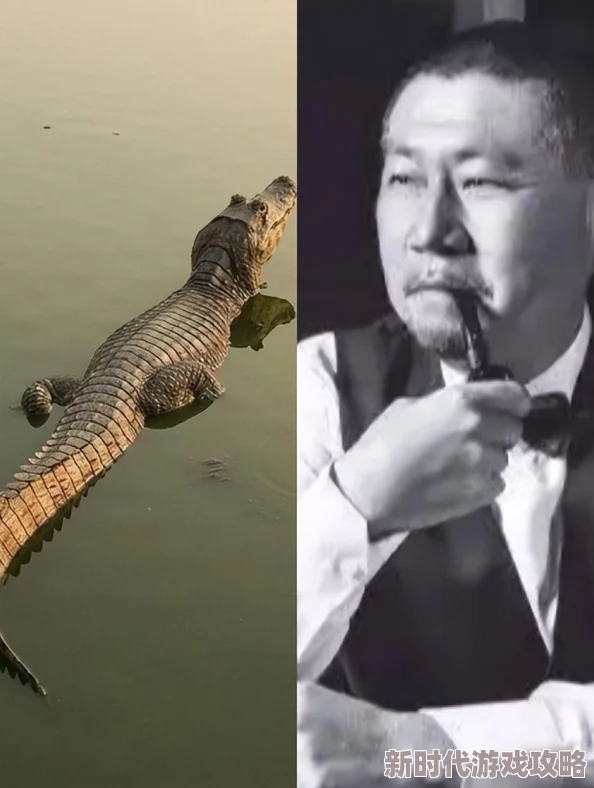 2023年必玩的忍者组制作游戏推荐:人气较高的经典与新款忍者题材手游大盘点 2023年必玩的忍者组制作游戏推荐:人气较高的经典与新款忍者题材手游大盘点