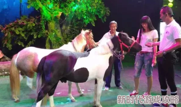 91pony九色jiuse:全新推出的多彩马术体验,带你领略不一样的骑行乐趣与视觉盛宴! 91pony九色jiuse:全新推出的多彩马术体验,带你领略不一样的骑行乐趣与视觉盛宴!