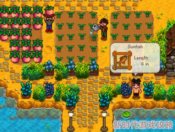 星露谷物语全面指南：如何高效升级鸡舍与畜棚，详细鸡舍升级攻略解析