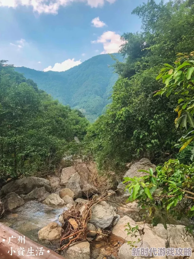 洞内泉淙淙洞外草萋萋：近期生态保护措施显著提升了景区的自然环境，吸引了更多游客前来观赏
