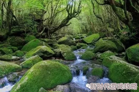 洞内泉淙淙洞外草萋萋：近期生态保护措施显著提升了景区的自然环境，吸引了更多游客前来观赏