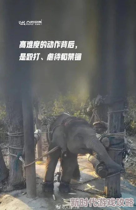 爱爱20p：震撼曝光！全球最火热的爱情故事背后隐藏着怎样不为人知的秘密？