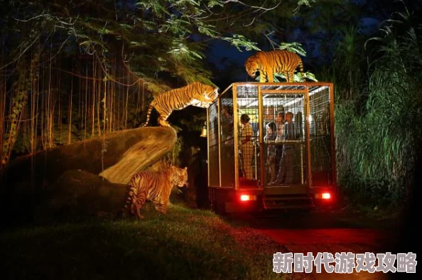全面解析：猴体力恢复速度的影响因素及快速提升方法介绍