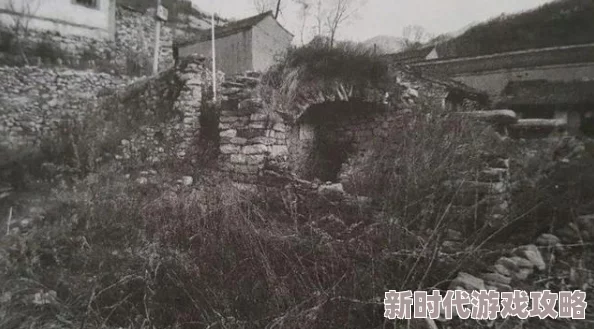 阿老妇乱的：近期社会对传统文化与现代价值观的碰撞引发广泛讨论，相关活动层出不穷