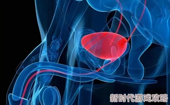 胡桃尿道口流出白色脓状物是什么？专家解析背后可能隐藏的健康风险与治疗方案！