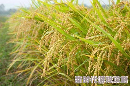 嫩草：惊现神秘植物，科学家称其可能颠覆传统农业，未来粮食危机或将迎刃而解！