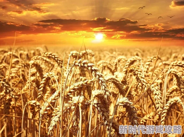 嫩草：惊现神秘植物，科学家称其可能颠覆传统农业，未来粮食危机或将迎刃而解！