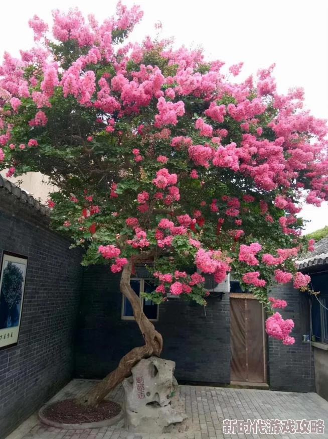李阿姨今年四十岁，竟然在社交媒体上晒出年轻时的照片，引发网友热议与惊叹！