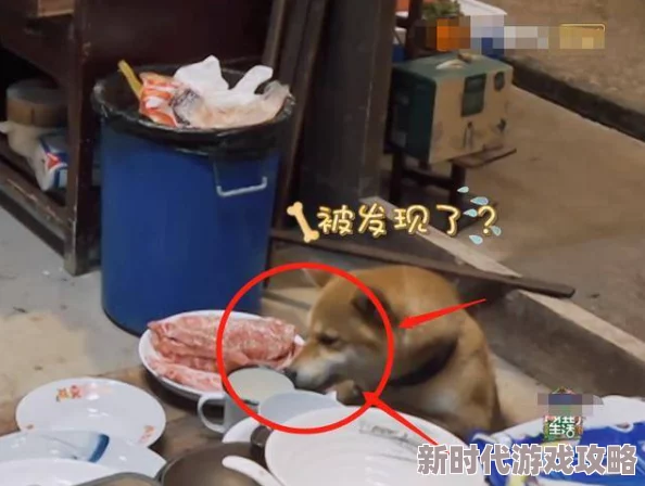 总攻催眠受的高h巨肉np：最新动态揭示了角色间复杂关系与情感纠葛，吸引众多粉丝热议