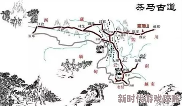 东南亚仙林棕林：网友热议其生态价值与可持续发展潜力，呼吁加强保护与合理利用措施