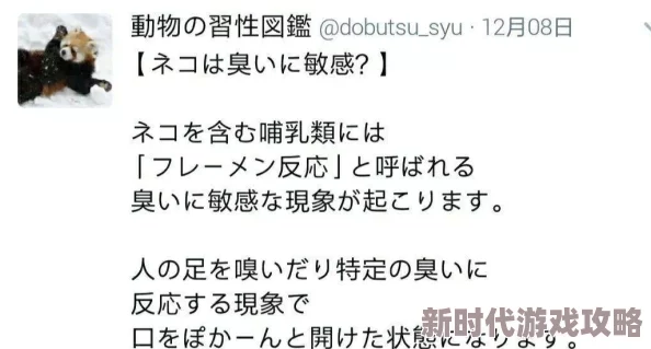 长篇乱说伦：网友认为这种现象反映了当下社会对信息的泛滥与真实内容的缺乏，亟需理性思考