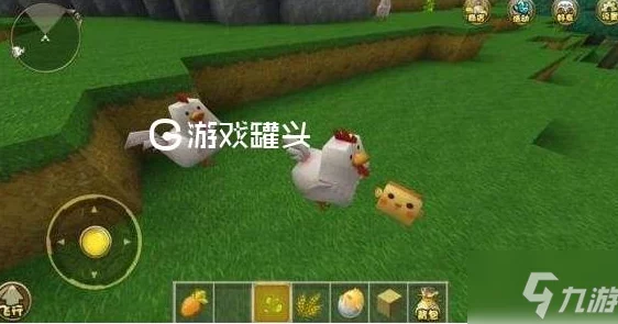 《迷你世界》游戏中鸡的繁殖方法详解及饲料、鸡窝准备指南