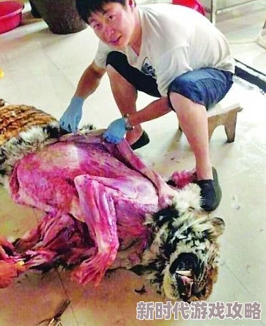 被男闺蜜强要了第一次，许多网友对此表示震惊，认为这种行为侵犯了个人意愿，应当受到谴责