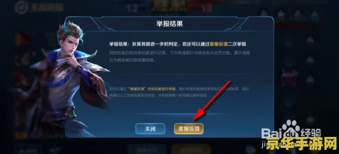 王者荣耀游戏中遇到不良行为，详细步骤教你如何进行人工举报