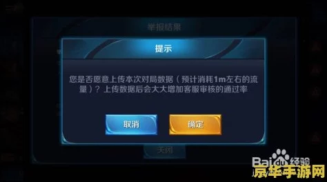 王者荣耀游戏中遇到不良行为，详细步骤教你如何进行人工举报