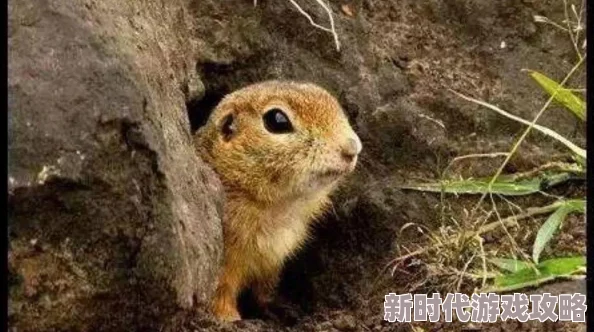 一小孩半夜喂女孩吃押巴，网友热议：童年趣事还是不当行为引发关注