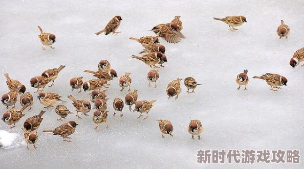 一小孩半夜喂女孩吃押巴，网友热议：童年趣事还是不当行为引发关注
