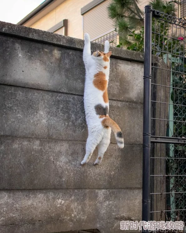 毛茸茸bbwbbwbbwbbwxxxx：最新动态揭示了这一现象的多样性与文化影响，吸引了越来越多人的关注与讨论