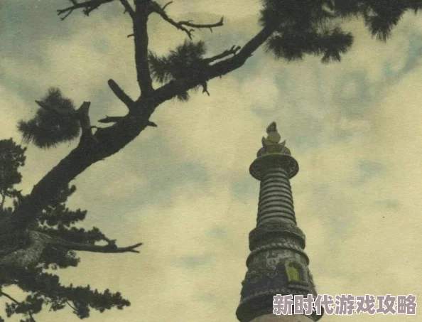 新疆毛片：最新动态揭示其在文化传播与社会影响方面的深远意义，值得关注与思考
