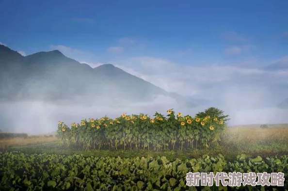 国产精品国产三级国快看：最新动态揭示了该系列影片在市场上的热度持续攀升，观众反响热烈