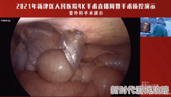欧美精品videosbestsexhd4k：最新动态显示该平台持续更新高质量视频内容，吸引了大量用户关注与互动