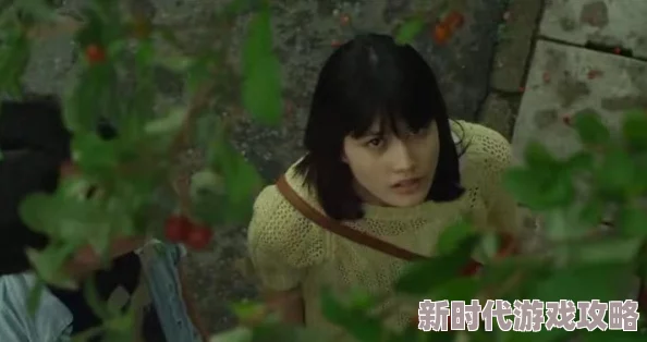 小森生活种植区高效布置方案与全面游戏攻略推荐指南