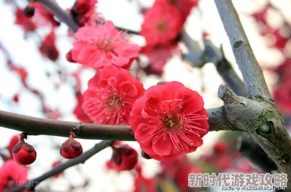 欧美交性又色又爽又黄：最新动态揭示了文化差异对性观念的影响，探讨了当代年轻人的开放态度与传统观念的碰撞