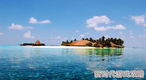 爱情岛非洲品质免费路线：全新旅游活动上线，畅享独特风景与文化体验，尽情感受异域魅力！