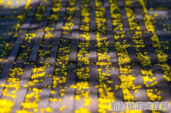 黄色大片在线看:最新动态与热门影片推荐,带你领略不一样的视听盛宴,尽享精彩内容 黄色大片在线看:最新动态与热门影片推荐,带你领略不一样的视听盛宴,尽享精彩内容