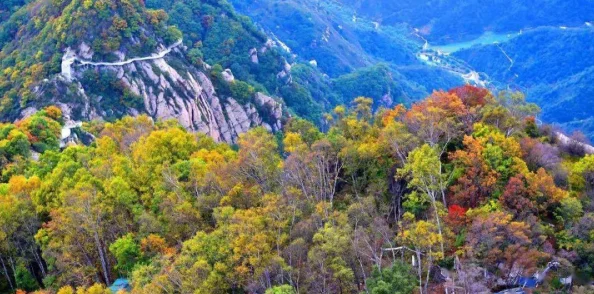 黄色大片在线看:最新动态与热门影片推荐,带你领略不一样的视听盛宴,尽享精彩内容 黄色大片在线看:最新动态与热门影片推荐,带你领略不一样的视听盛宴,尽享精彩内容