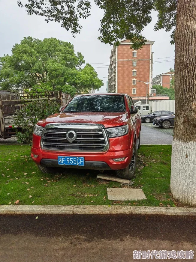 CF手游家园系统揭秘：探索神秘生物名字及其题目答案详解