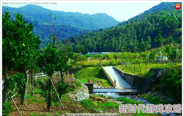 欧美换爱交换乱理伦片禁忌：最新动态揭示了该类型影片在文化和法律层面的争议与发展