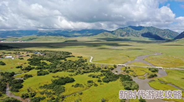 pony九色蝌蚪：探讨其生态特征与生物多样性保护的重要性及相关研究进展