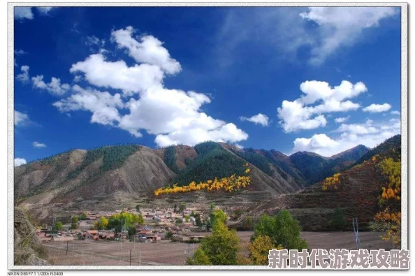 pony九色蝌蚪：探讨其生态特征与生物多样性保护的重要性及相关研究进展