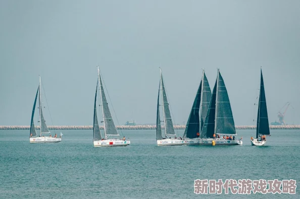 仙境传说新启航:全面解析技能搭配与属性加点推荐攻略 仙境传说新启航:全面解析技能搭配与属性加点推荐攻略