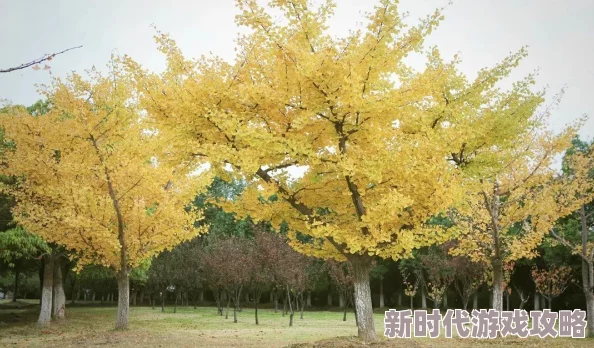 日韩一区二区视频在线观看:最新动态与热门视频推荐,带你领略日韩文化的独特魅力与精彩内容 日韩一区二区视频在线观看:最新动态与热门视频推荐,带你领略日韩文化的独特魅力与精彩内容