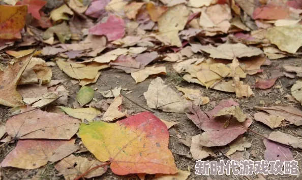 日韩一区二区视频在线观看:最新动态与热门视频推荐,带你领略日韩文化的独特魅力与精彩内容 日韩一区二区视频在线观看:最新动态与热门视频推荐,带你领略日韩文化的独特魅力与精彩内容