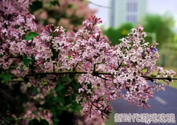 探索色综合激情丁香七月的多元魅力与无限可能性
