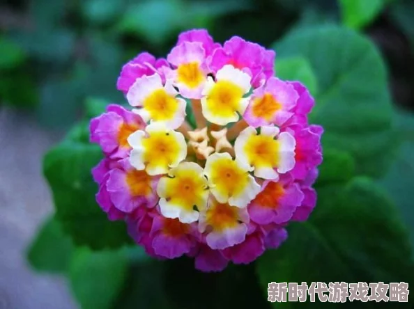 久久草精品：全新产品线发布，致力于为消费者提供更高品质的生活体验，期待您的关注与支持！
