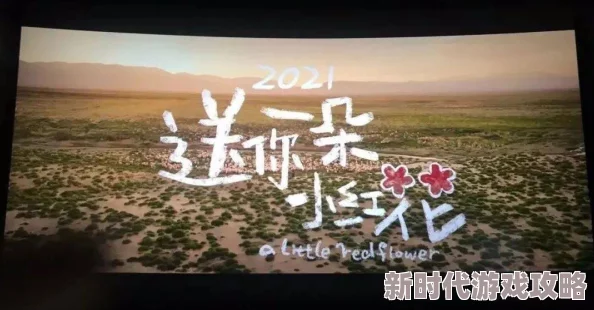 黄色片怎么看：最新动态与观影指南，帮助你更好地理解和欣赏这一类型的影片