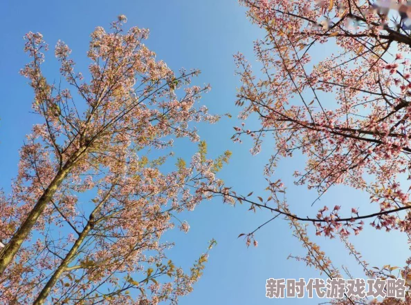 特级毛片aaaa级毛片免费：最新动态显示该平台正在扩展其内容库，提供更多高质量的影视资源供用户免费观看