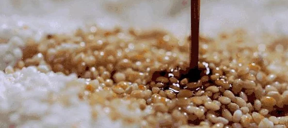 不休江湖游戏攻略:五大掌门获取途径全揭秘及详细方法介绍 不休江湖游戏攻略:五大掌门获取途径全揭秘及详细方法介绍