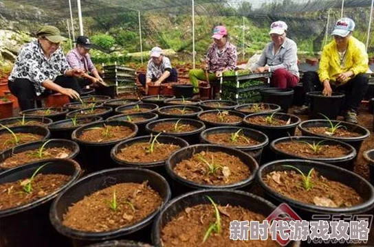 污污视频在线：最新动态揭示平台内容更新与用户互动新趋势，吸引更多年轻观众关注与参与