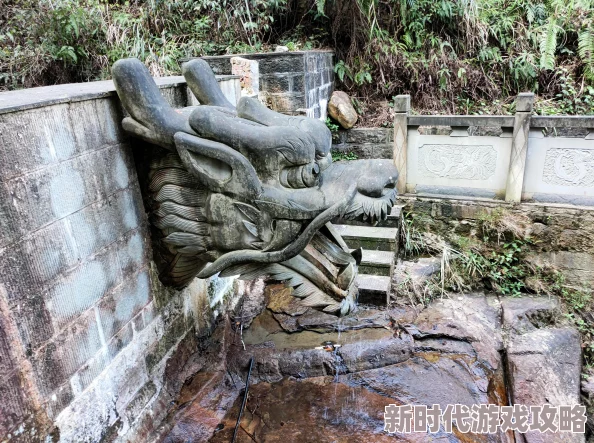 日出水了视频大全：最新动态展示了多种精彩视频，涵盖自然美景与人文风情，带你领略不一样的日出时刻