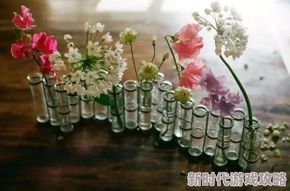 魔力宝贝手机版：打造装备与药品所需材料全解析及步骤指南
