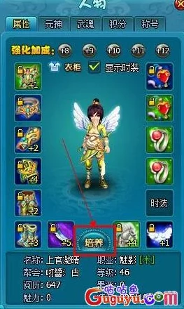 我的御剑日记：全面解析仙盟法阵养成材料获取攻略与技巧